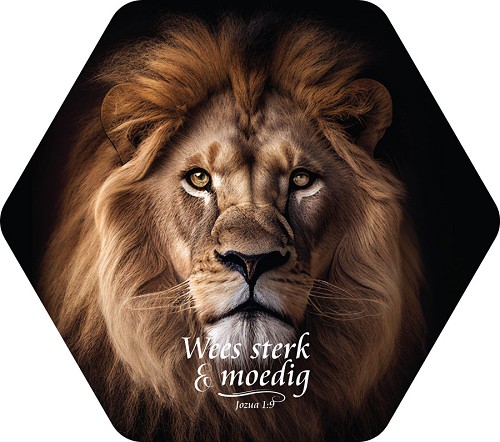 Honingraatbord: Sterk en Moedig Leeuw