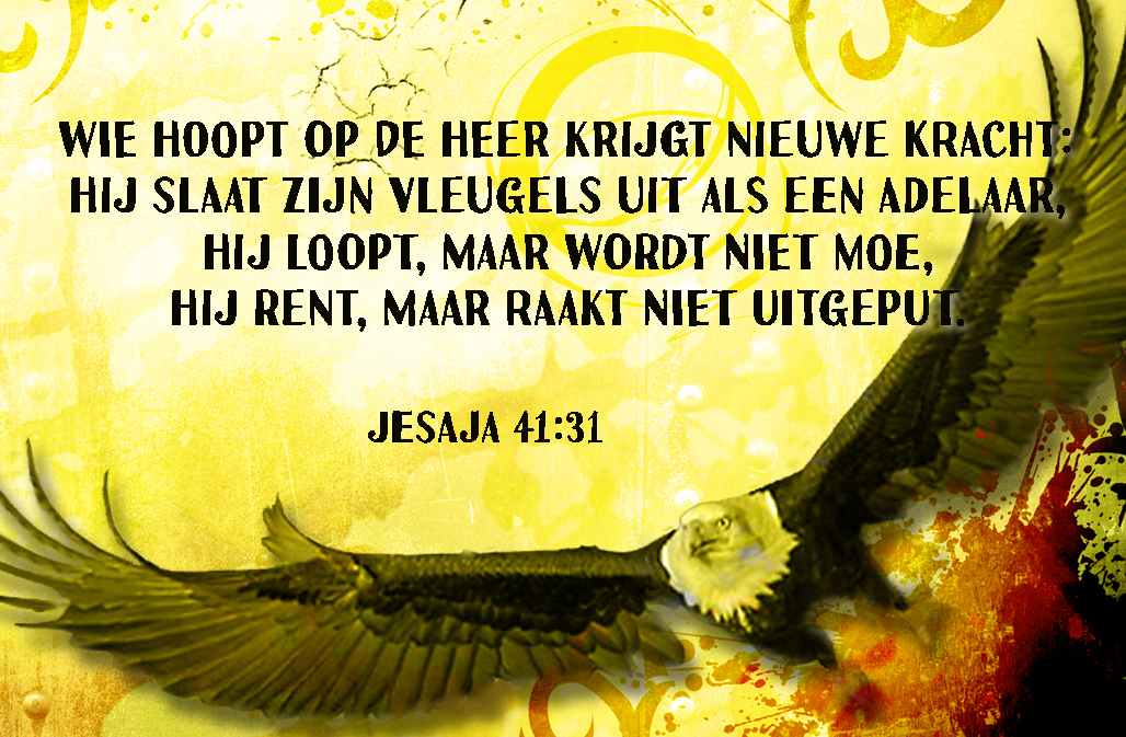 Wie hoopt op de Heer Jesaja 40:31 (prijs per stuk, verkoop per 6)