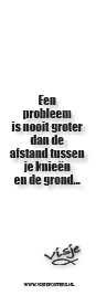 Boekenlegger Visje:  Een Probleem is Nooit