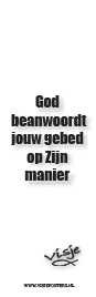 Boekenlegger Visje:  God beantwoordt jouw
