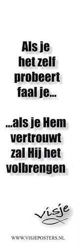 Boekenlegger Visje:  Als je het zelf Probeert faal je