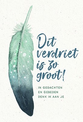 Wenskaart dit verdriet is zo groot