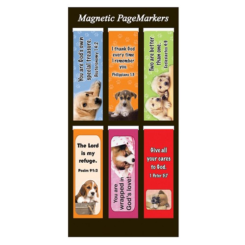 Dogs – 004