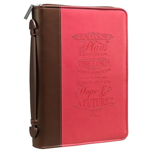 For I know the plans – Pink