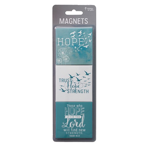 Soar – Isaiah 40:31