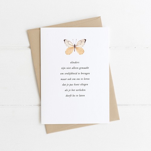 Vlinders zijn niet alleen