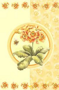 Wenskaart blanco