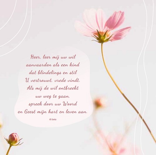 Enkele Kaart Heer, leer mij uw wil