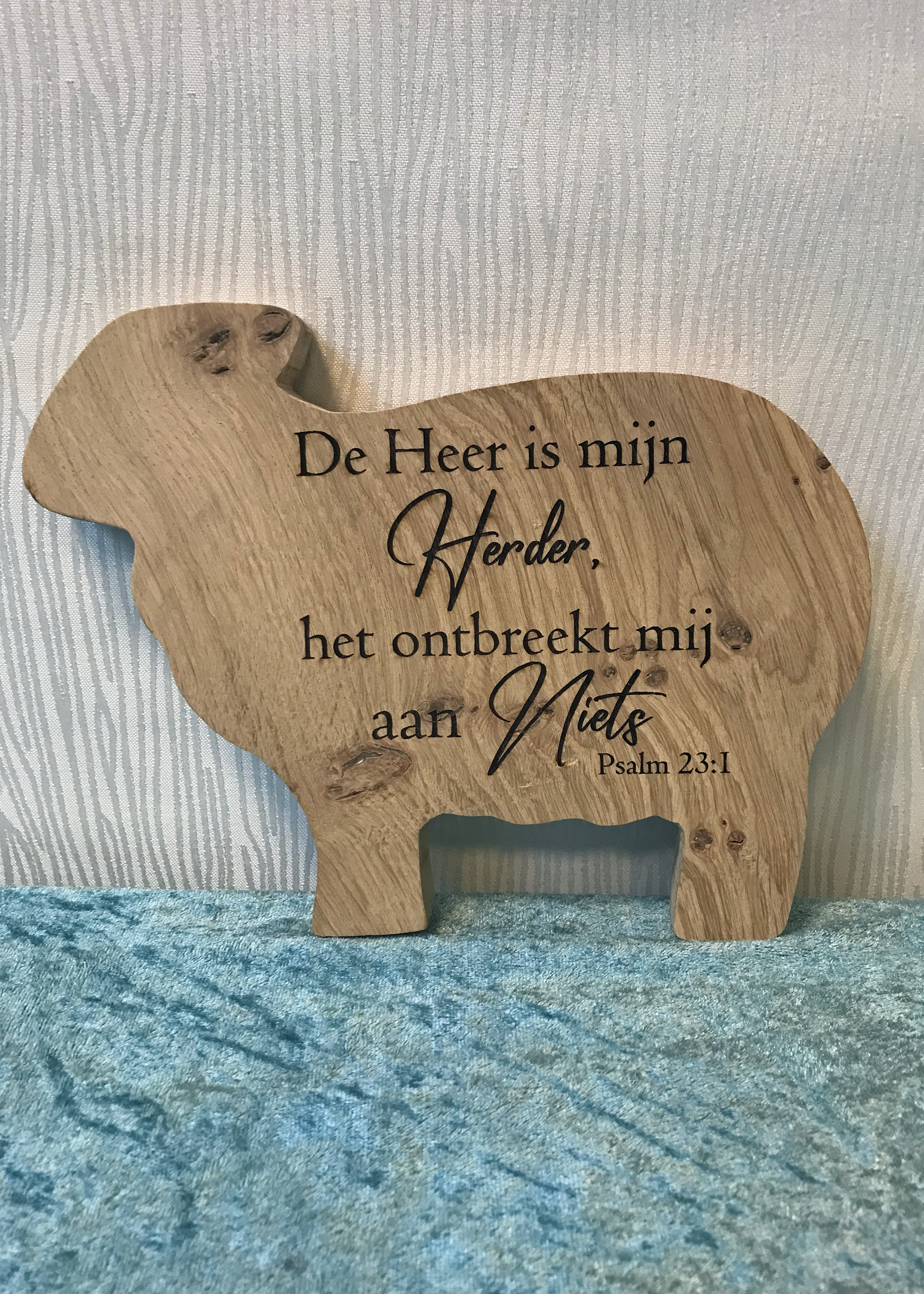 Homedecor/coaster Schaap de heer is mijn