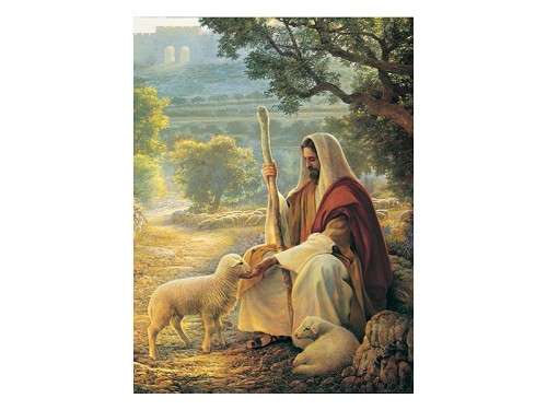 The Good Shepherd – Puzzle 500 pieces