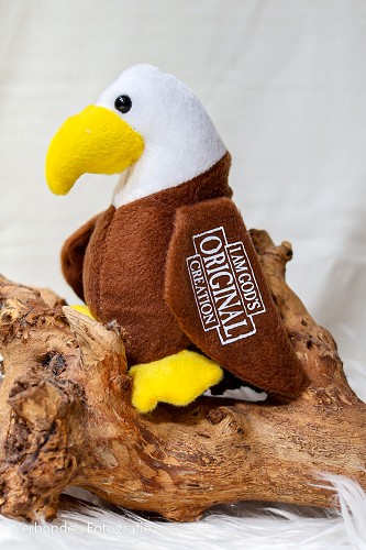 Eagle cuddle God”s original