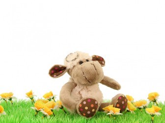 Lamb curly keyring 12cm