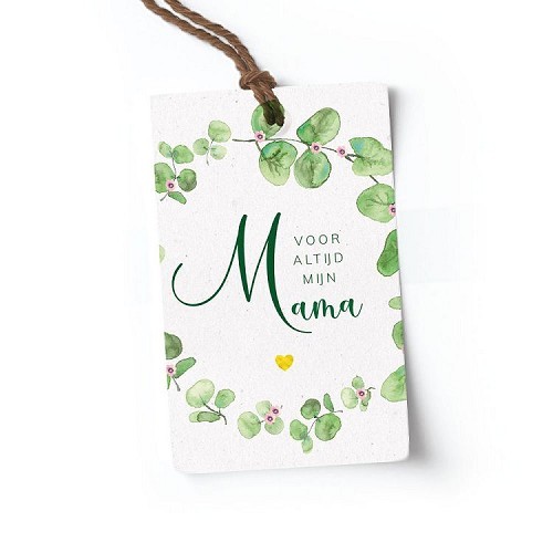 Mijn mama is de liefste