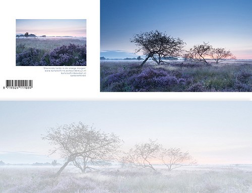 Panoramawenskaart zt bloeiende heide