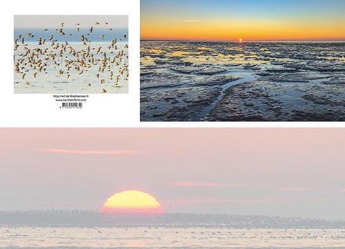 Panoramawenskaart wijs met de waddenzee