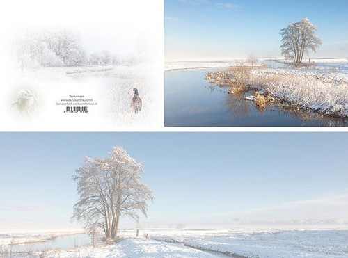 Panoramawenskaart winterbeek