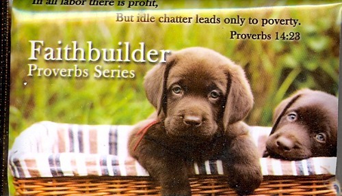 Faithbuilder proverbs series