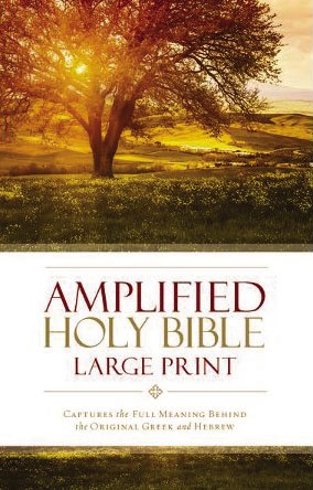 Amplified Holy Bible, Large Print, Hardcover