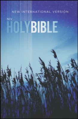 Value Outreach Bible-NIV