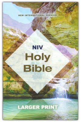 Niv, Holy Bible, Larger Print, Economy Edition, Paperback, Teal/Tan, Comfort Print
