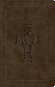 ESV Large Print Value Thinline Bible
