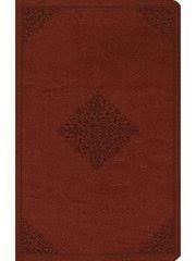 ESV Large Print Value Thinline Bible