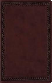 ESV Large Print Value Thinline Bible