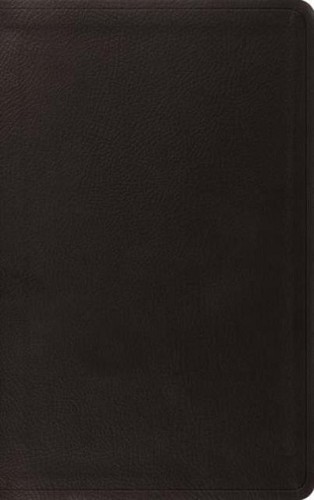 ESV – Value Thinline Bible