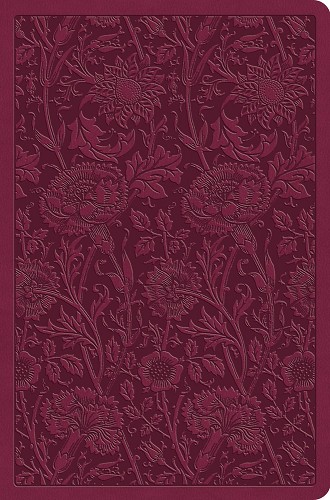 ESV Value Compact Bible
