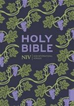NIV Holy Bible (Hodder Classics)