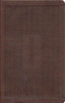 NLT Premium Value Thinline Bible, Filament Enabled (Leatherl