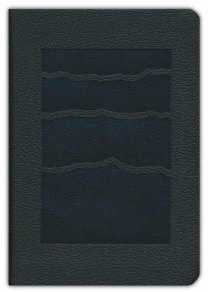 NLT Premium Value Compact Bible, Filament Enabled (Leatherlike, Black Mountainscape)
