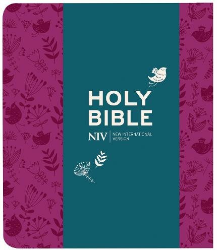 NIV – Journaling Bible With Clasp