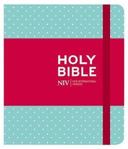 NIV – Journalling Bible
