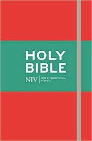 NIV Thinline Red Bible