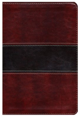 RVR1960 – Biblia del Pescador letra gra