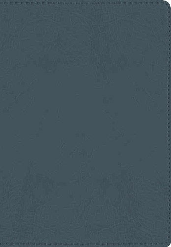 The Message – Compact Bible – Gray