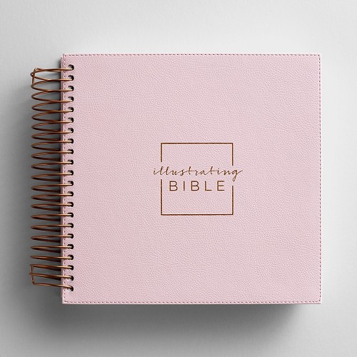 ILLUSTRATING BIBLE NIV PINK
