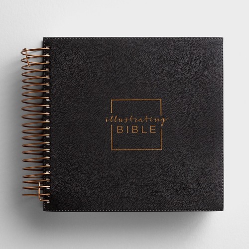 ILLUSTRATING BIBLE NIV DARK GR