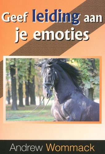 Geef leiding aan je emoties