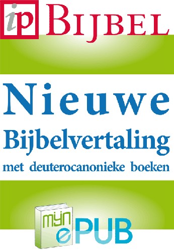 Huisbijbel M40G goudsnee