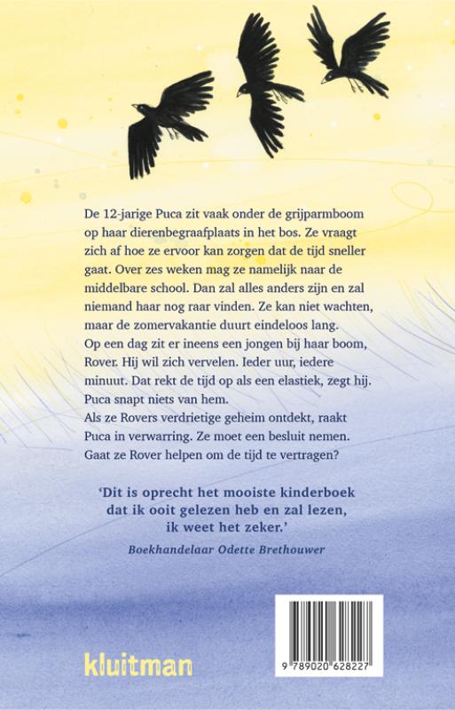 De zomer die alles was