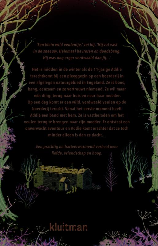 Het meisje en het veulen