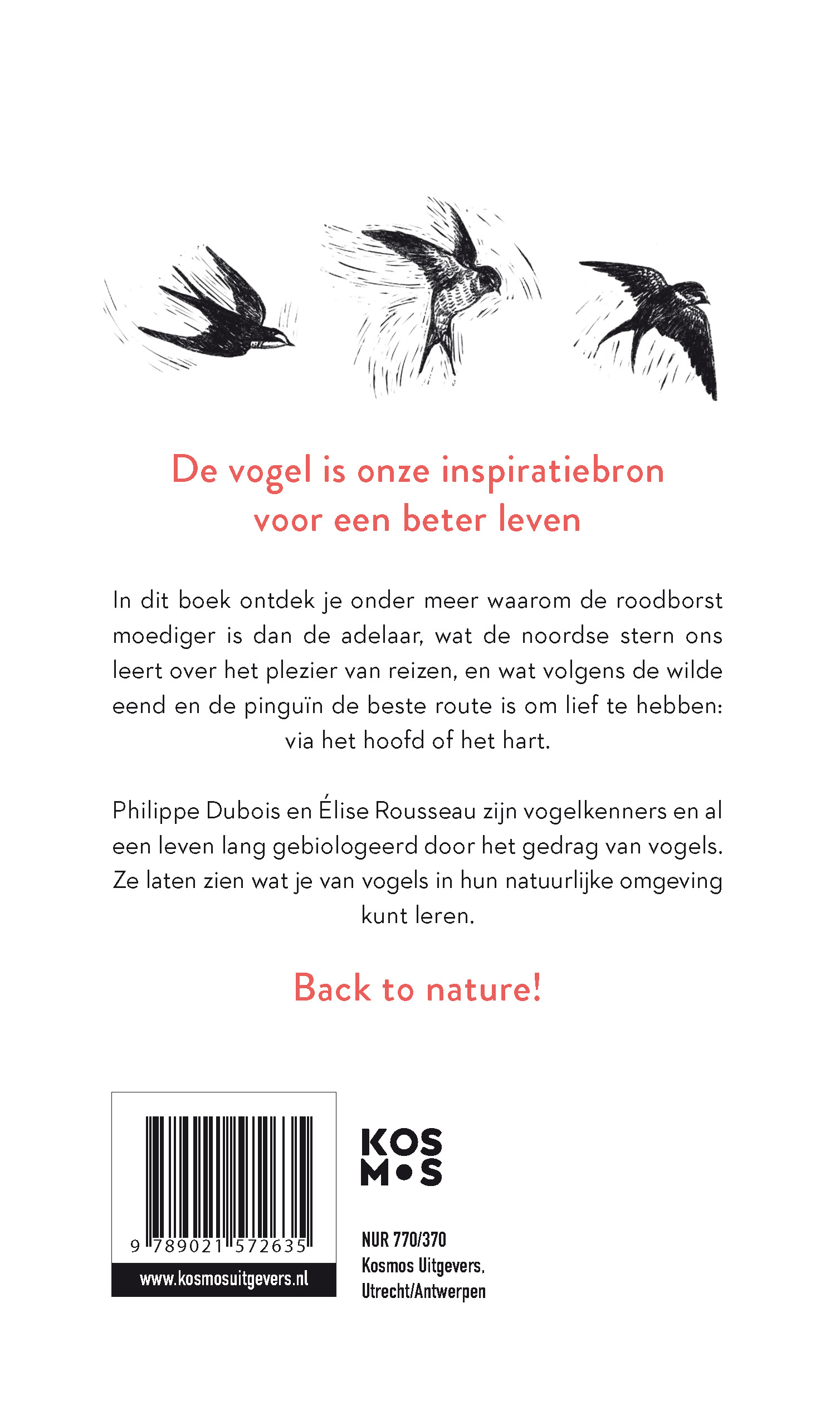 De 22 levenslessen die vogels ons leren