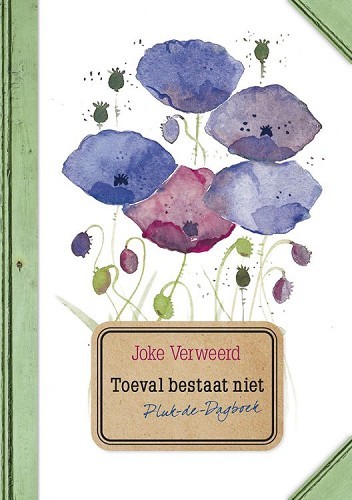 Toeval bestaat niet - Afbeelding 2