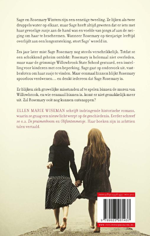 De verdwenen meisjes van Willowbrook