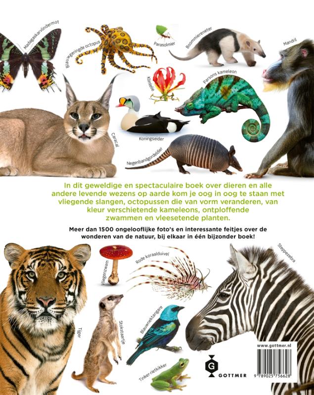Het dierenboek