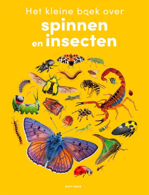 Het kleine boek over spinnen en insecten