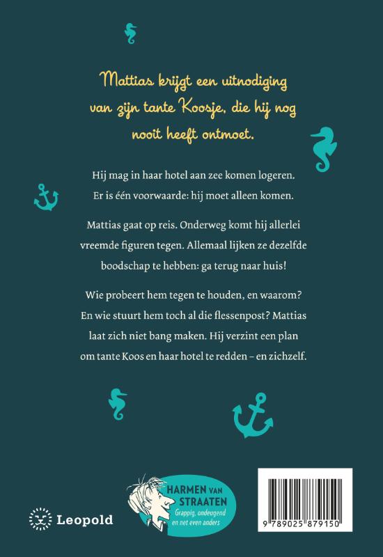 Het wonderbaarlijke scheepsjournaal van Mattias Spijker