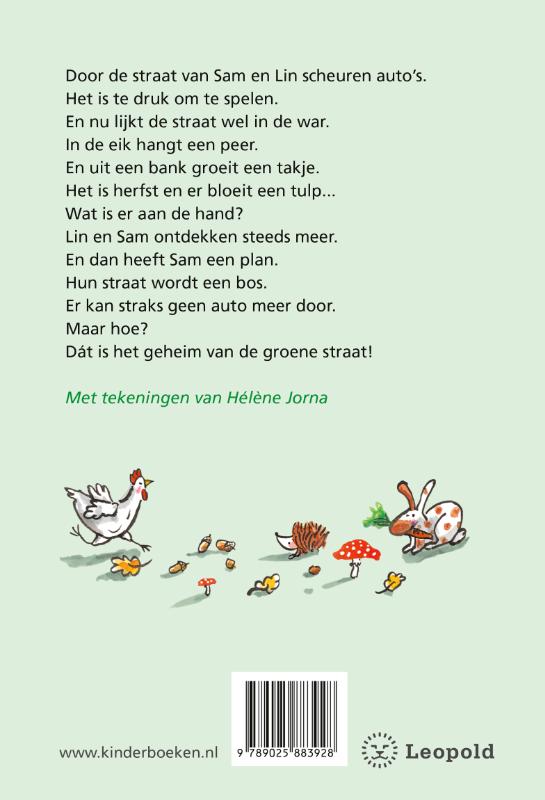 Het geheim van de groene straat